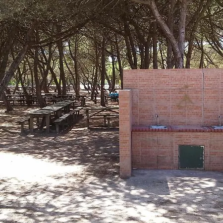 Διαμέρισμα Apartamento Gala *